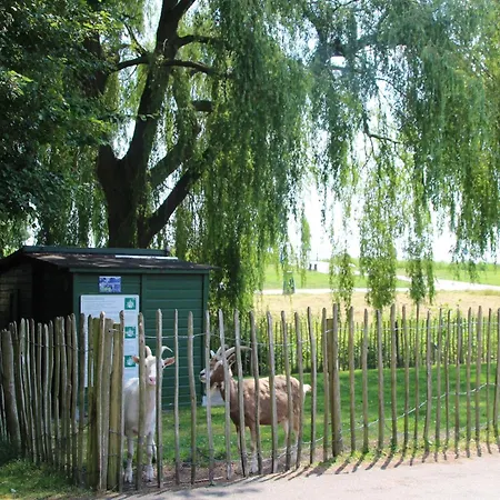 Holiday home In Zevenhuizen With Sauna Bubble Bath, Cleaning Included